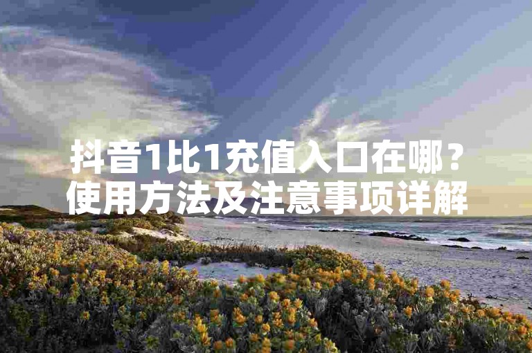 抖音1比1充值入口在哪？使用方法及注意事项详解！