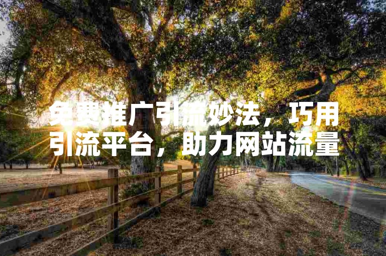 免费推广引流妙法，巧用引流平台，助力网站流量轻松提升