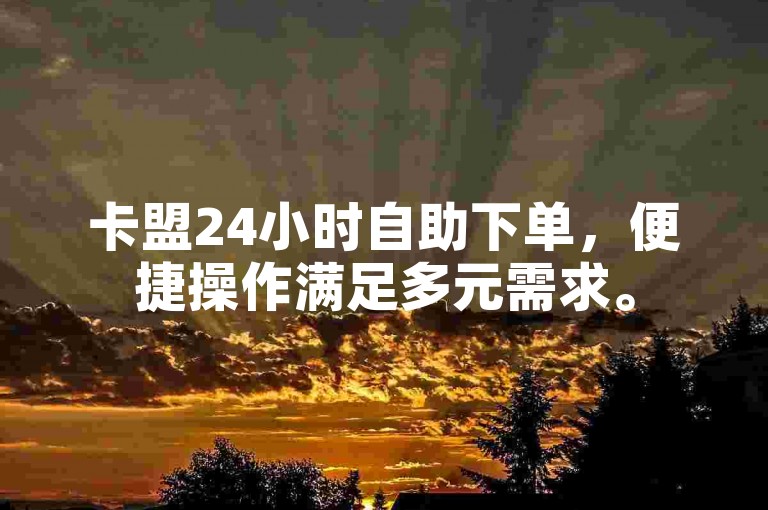 卡盟24小时自助下单，便捷操作满足多元需求。