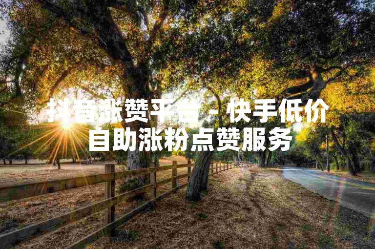 抖音涨赞平台 - 快手低价自助涨粉点赞服务