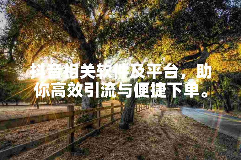 抖音相关软件及平台，助你高效引流与便捷下单。