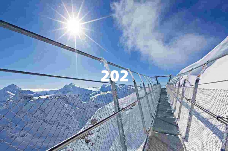 2025必学！抖音自动浏览软件，助力高效提升作品曝光度。