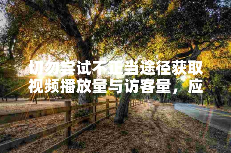 切勿尝试不正当途径获取视频播放量与访客量，应靠优质内容自然吸引。