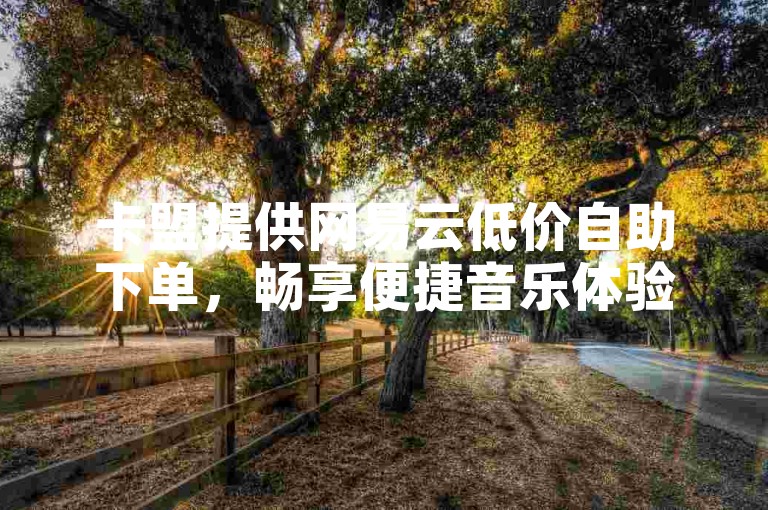 卡盟提供网易云低价自助下单，畅享便捷音乐体验。