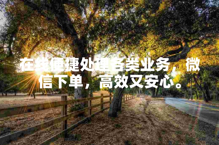 在线便捷处理各类业务，微信下单，高效又安心。