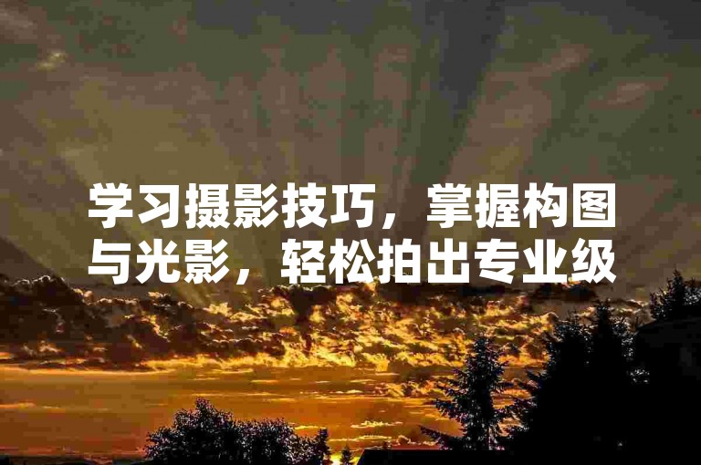 学习摄影技巧，掌握构图与光影，轻松拍出专业级美照。
