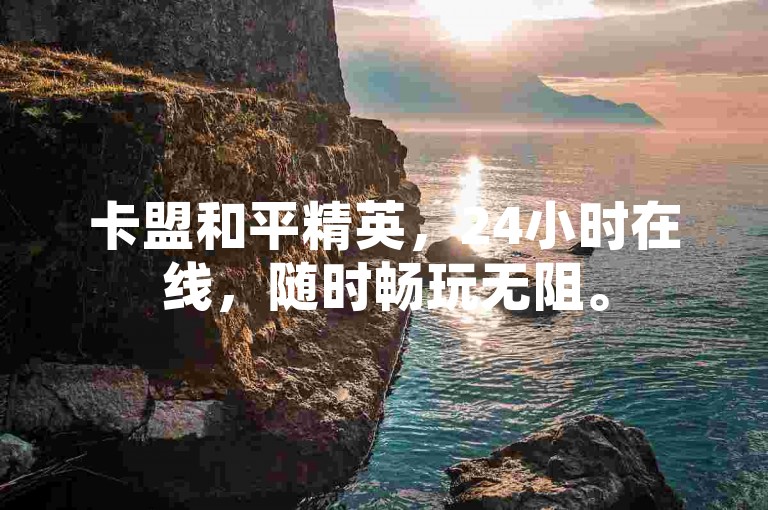 卡盟和平精英，24小时在线，随时畅玩无阻。
