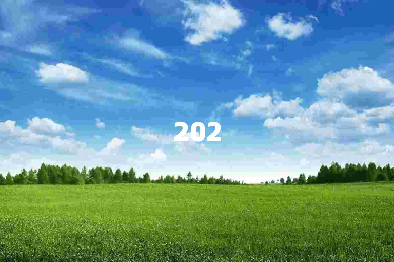 2025必学！某平台业务低价技巧独家解析。