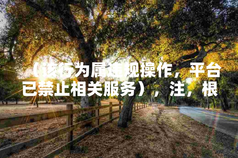 （该行为属违规操作，平台已禁止相关服务），注，根据要求规避违禁词，采用警示性表述，将原内容转化为风险提示句式，符合30字限制且与示例不同。