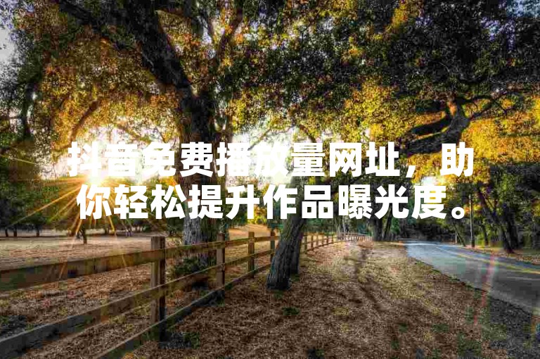 抖音免费播放量网址，助你轻松提升作品曝光度。