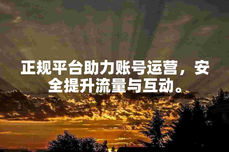 正规平台助力账号运营，安全提升流量与互动。