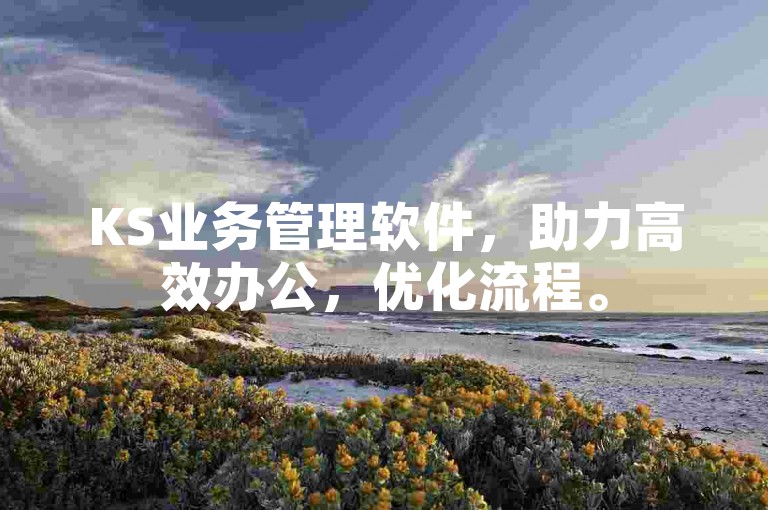 KS业务管理软件，助力高效办公，优化流程。