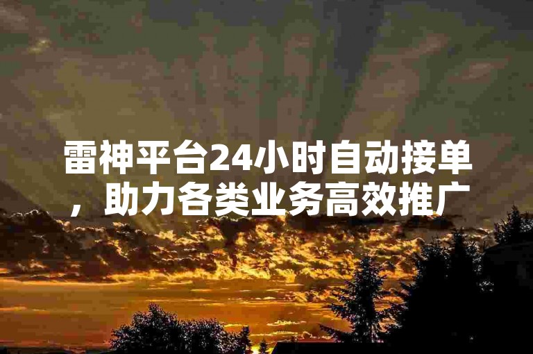 雷神平台24小时自动接单，助力各类业务高效推广