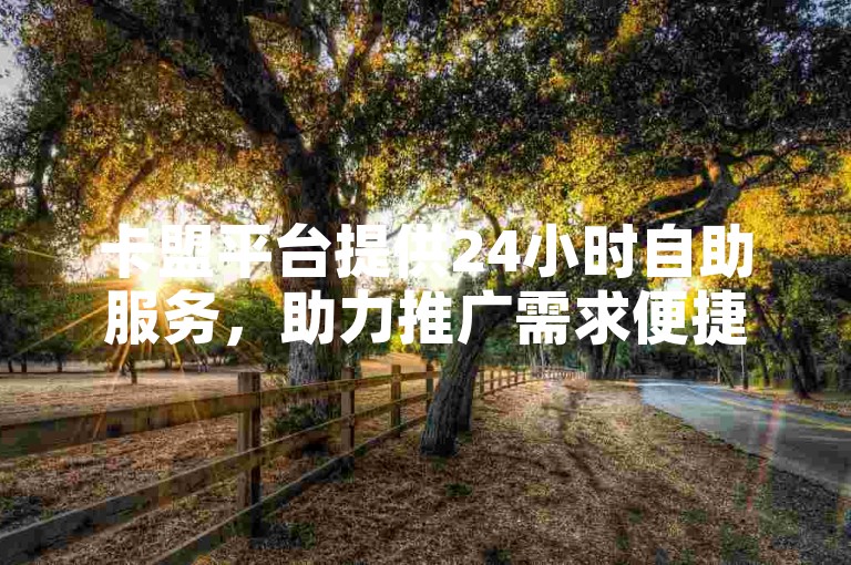 卡盟平台提供24小时自助服务，助力推广需求便捷实现。