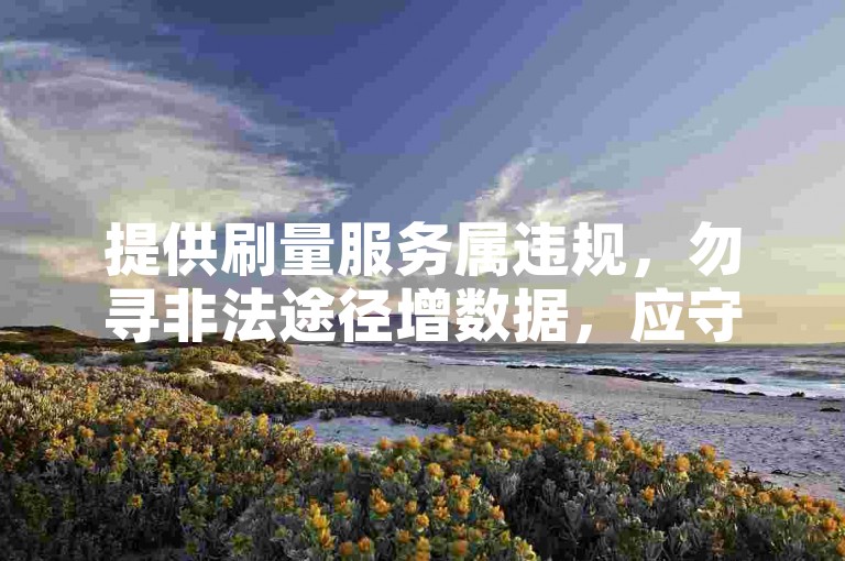 提供刷量服务属违规，勿寻非法途径增数据，应守规则做优质内容。
