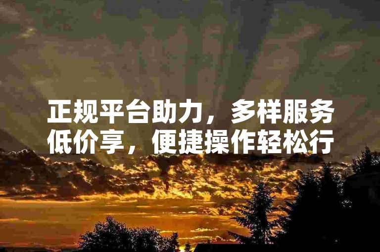 正规平台助力，多样服务低价享，便捷操作轻松行。