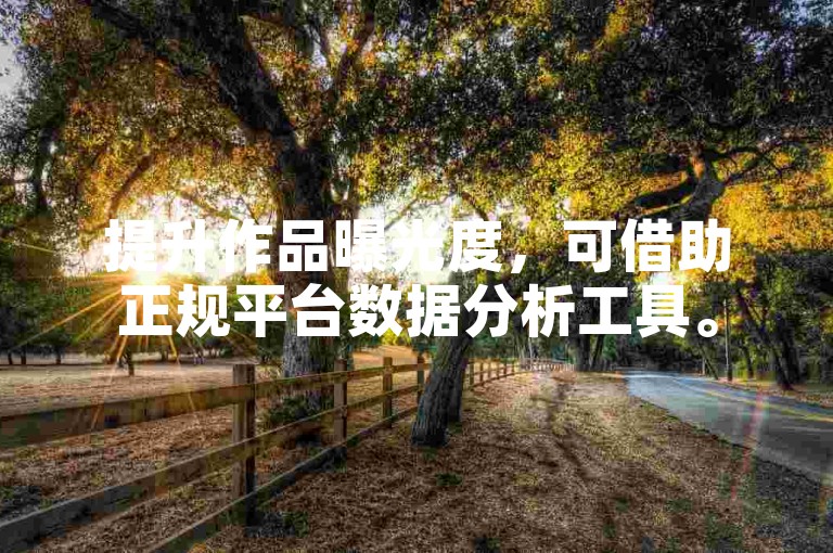 提升作品曝光度，可借助正规平台数据分析工具。