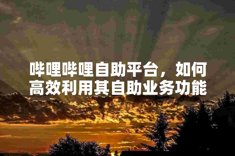 哔哩哔哩自助平台，如何高效利用其自助业务功能？