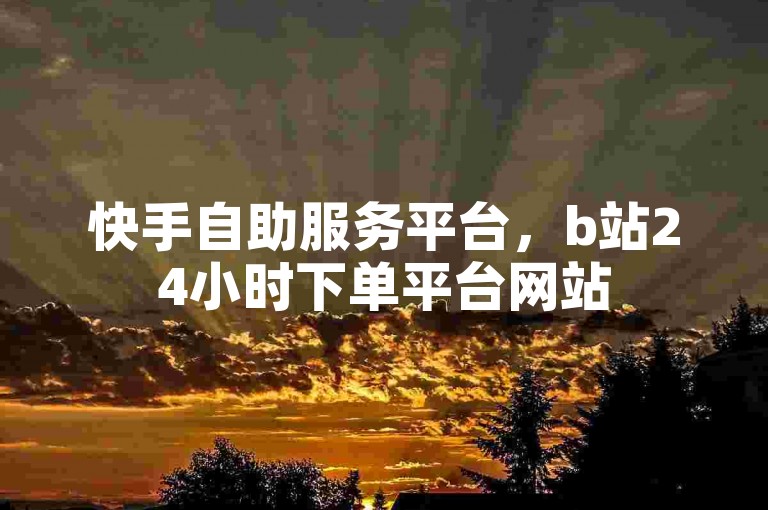 快手自助服务平台，b站24小时下单平台网站