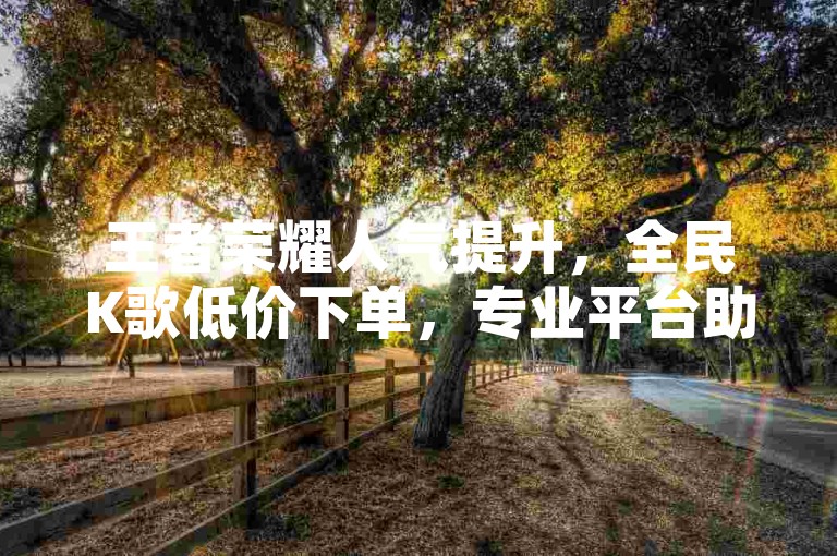 王者荣耀人气提升，全民K歌低价下单，专业平台助你轻松获关注！