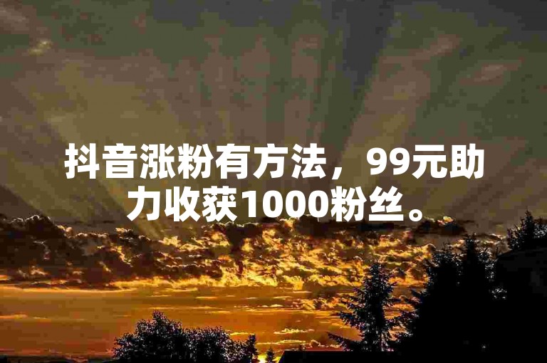抖音涨粉有方法，99元助力收获1000粉丝。