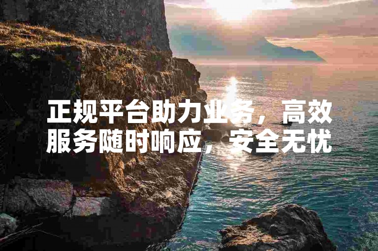 正规平台助力业务，高效服务随时响应，安全无忧。