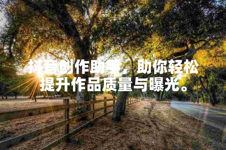 抖音创作助手，助你轻松提升作品质量与曝光。