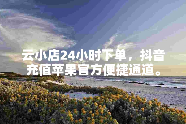 云小店24小时下单，抖音充值苹果官方便捷通道。