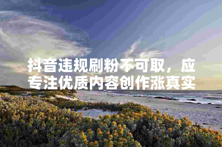 抖音违规刷粉不可取，应专注优质内容创作涨真实粉丝。