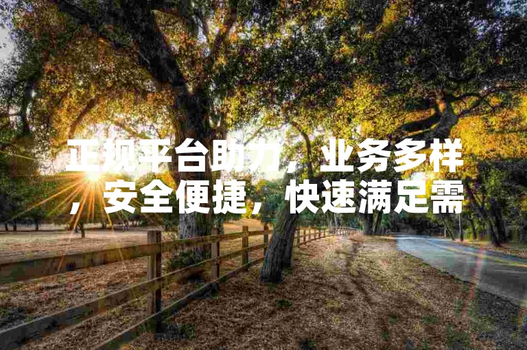正规平台助力，业务多样，安全便捷，快速满足需求。