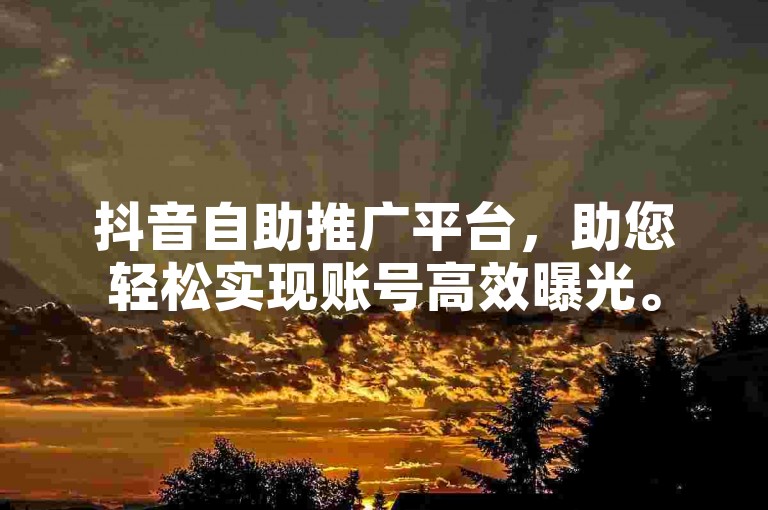 抖音自助推广平台，助您轻松实现账号高效曝光。