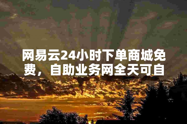 网易云24小时下单商城免费，自助业务网全天可自助操作。
