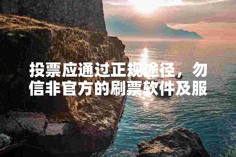 投票应通过正规途径，勿信非官方的刷票软件及服务。