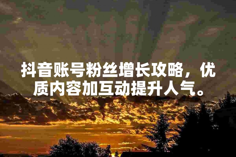 抖音账号粉丝增长攻略，优质内容加互动提升人气。