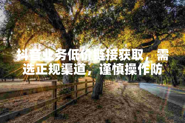抖音业务低价链接获取，需选正规渠道，谨慎操作防风险。