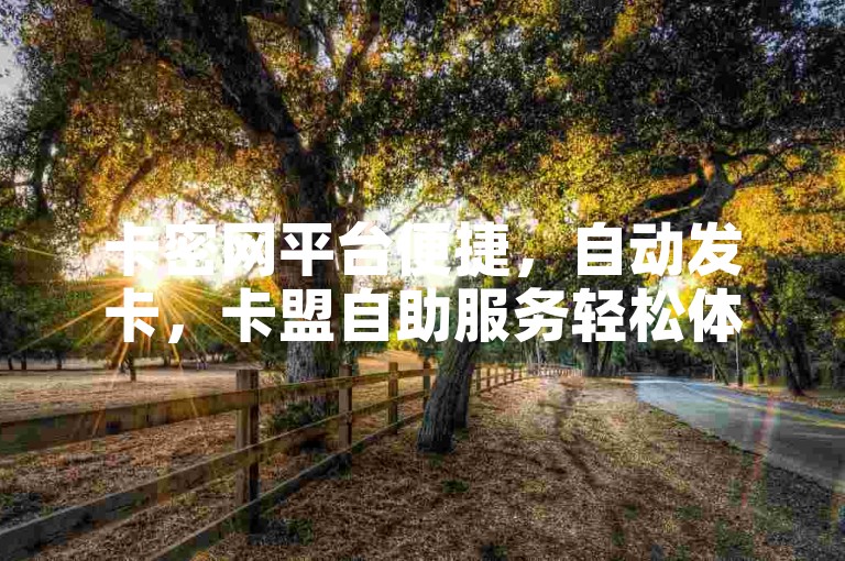 卡密网平台便捷，自动发卡，卡盟自助服务轻松体验。