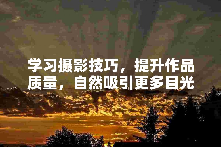 学习摄影技巧，提升作品质量，自然吸引更多目光。