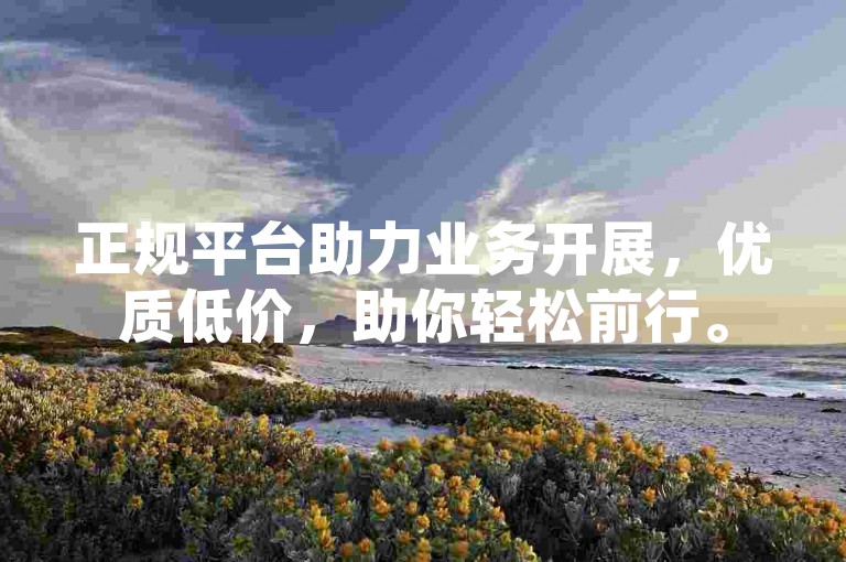 正规平台助力业务开展，优质低价，助你轻松前行。