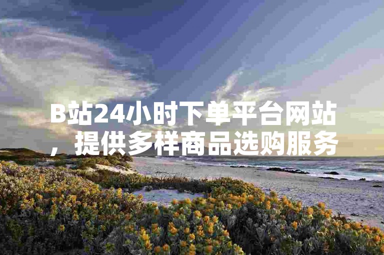 B站24小时下单平台网站，提供多样商品选购服务。