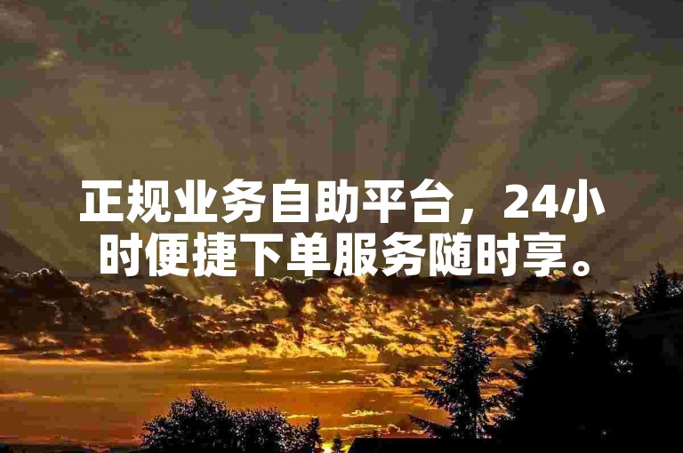 正规业务自助平台，24小时便捷下单服务随时享。