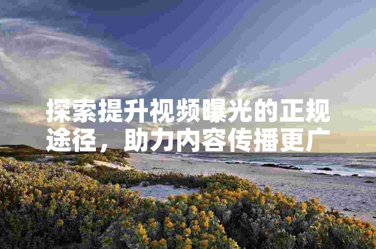 探索提升视频曝光的正规途径，助力内容传播更广泛。