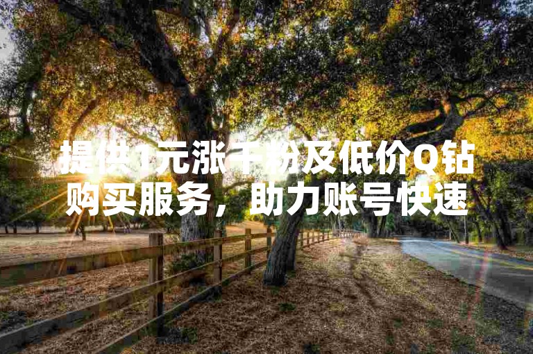 提供1元涨千粉及低价Q钻购买服务，助力账号快速成长。