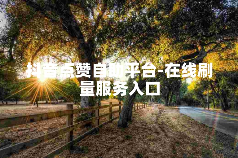 抖音点赞自助平台-在线刷量服务入口
