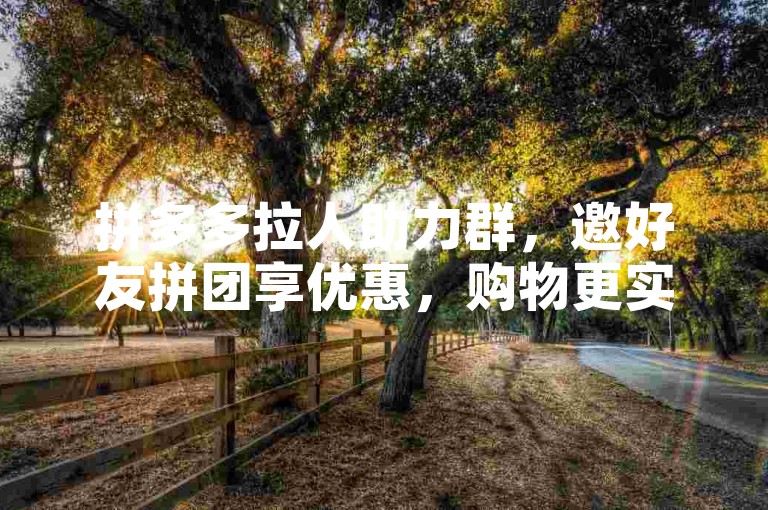 拼多多拉人助力群，邀好友拼团享优惠，购物更实惠。