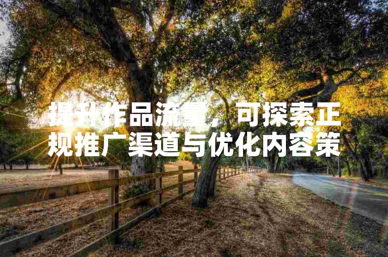 提升作品流量，可探索正规推广渠道与优化内容策略。