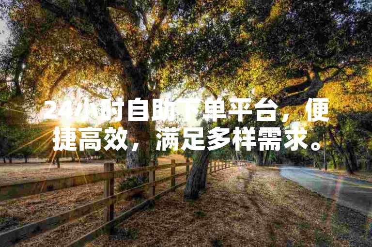 24小时自助下单平台，便捷高效，满足多样需求。