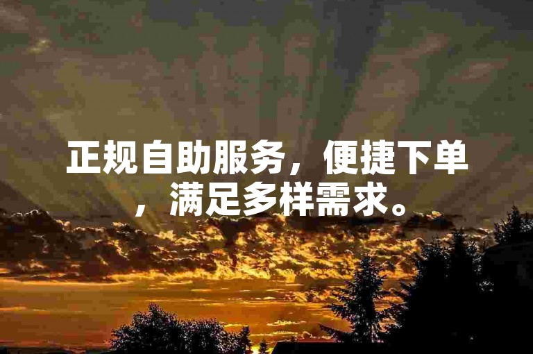 正规自助服务，便捷下单，满足多样需求。