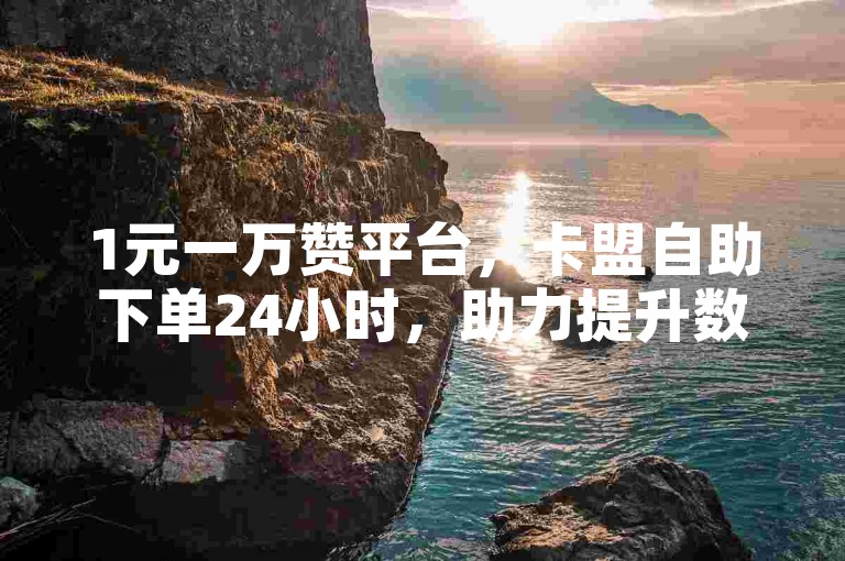 1元一万赞平台，卡盟自助下单24小时，助力提升数据。