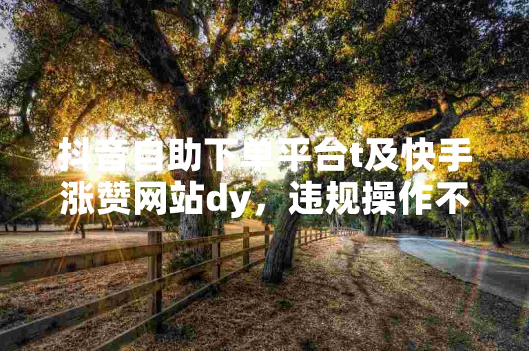 抖音自助下单平台t及快手涨赞网站dy，违规操作不可取。