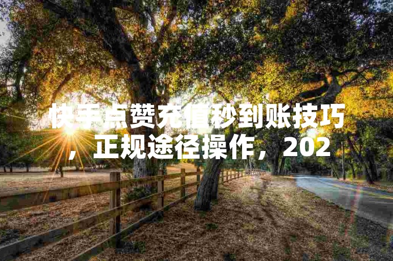 快手点赞充值秒到账技巧，正规途径操作，2025轻松掌握！